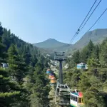 Cable Car Ride over Pine Forests