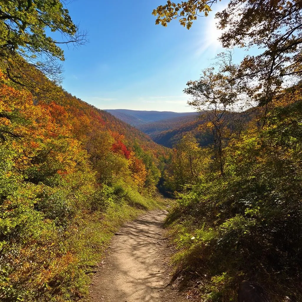 Delaware Water Gap hiking trail