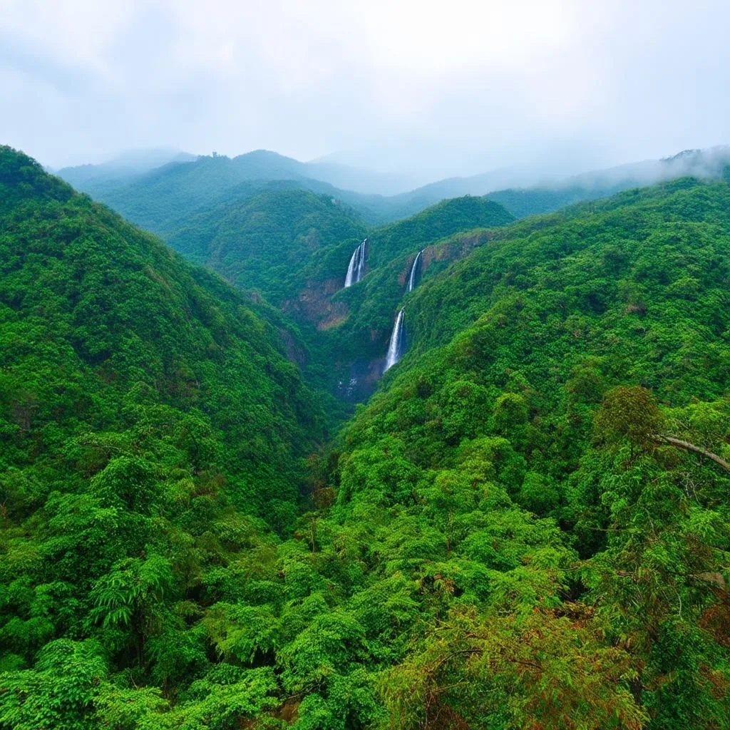 Doi Inthanon National Park scenery 