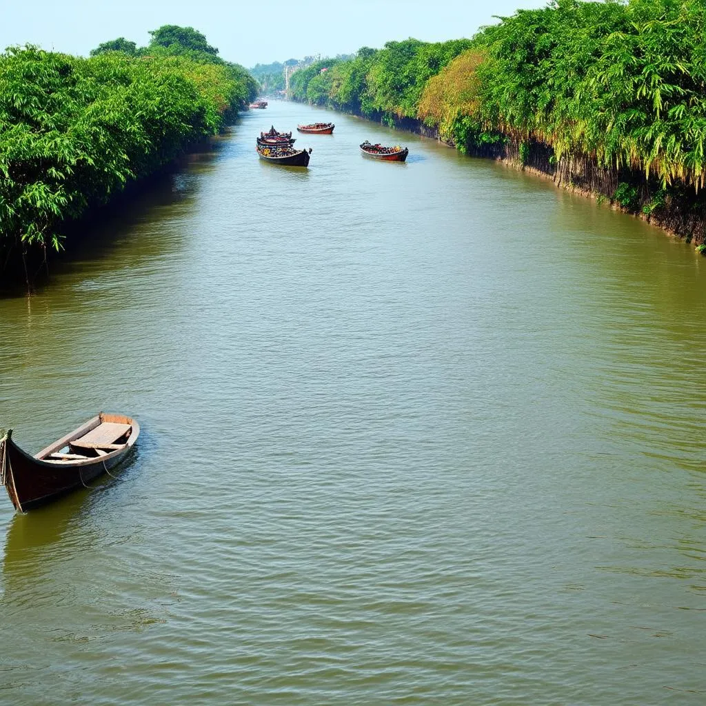 Dong Nai River