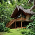 eco lodge in the jungle