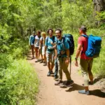 Ecotourists Hiking in Forest