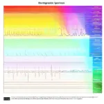 Electromagnetic Spectrum