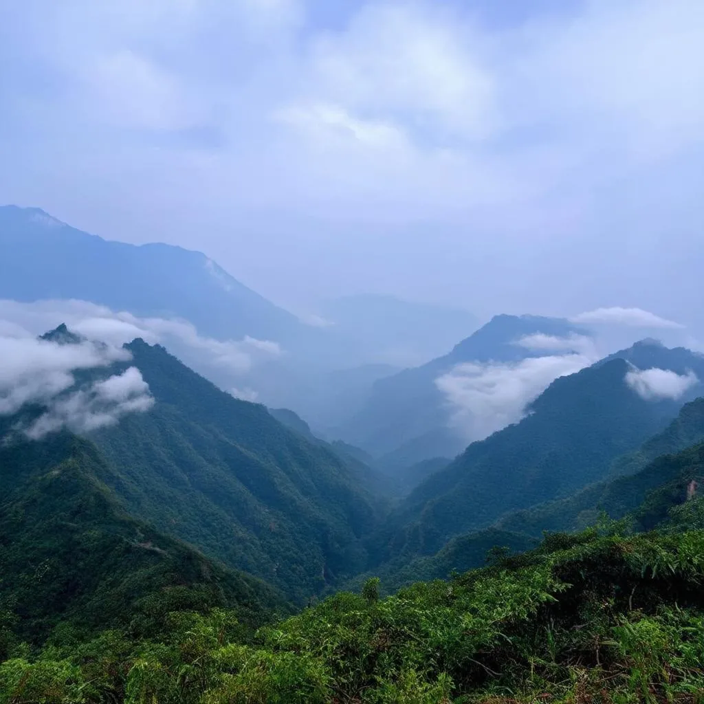 View from Fansipan Peak