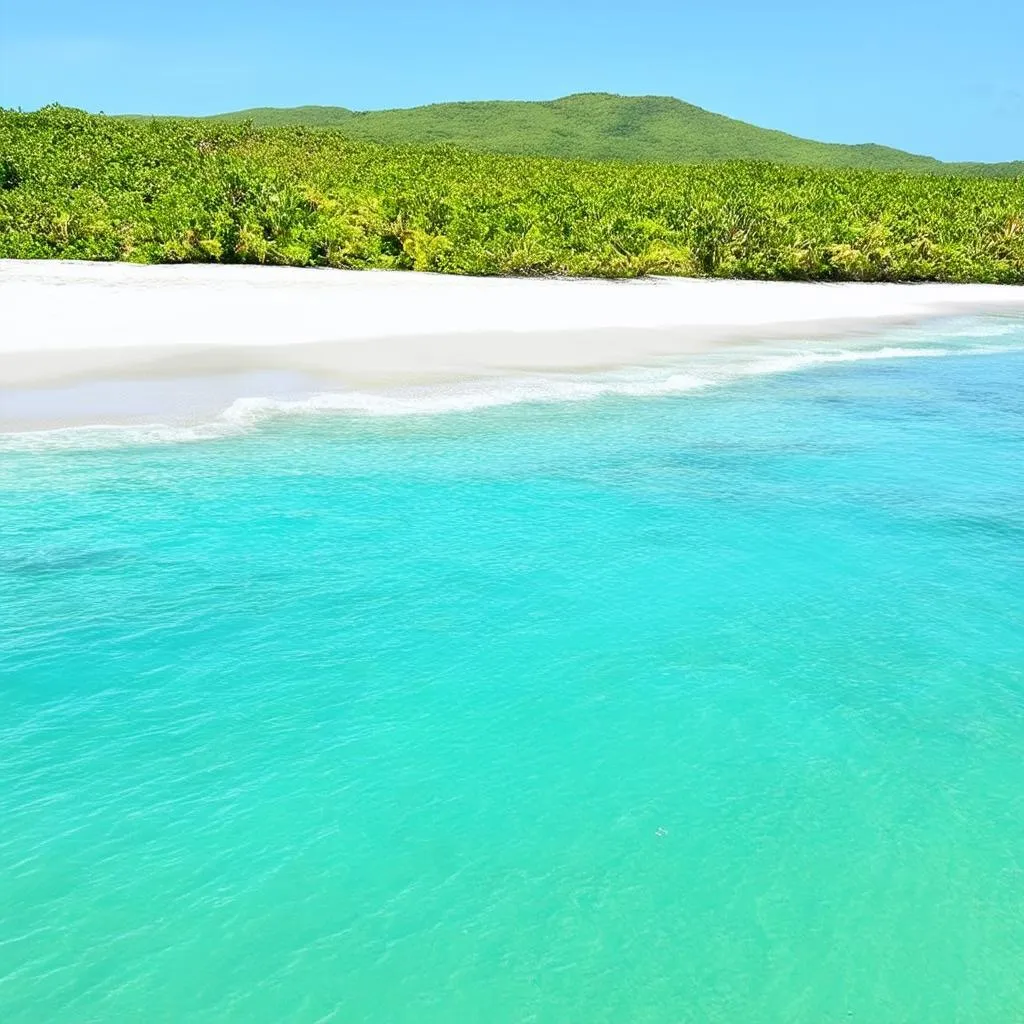 Flamenco Beach