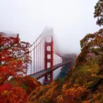 Golden Gate Park in the Fall