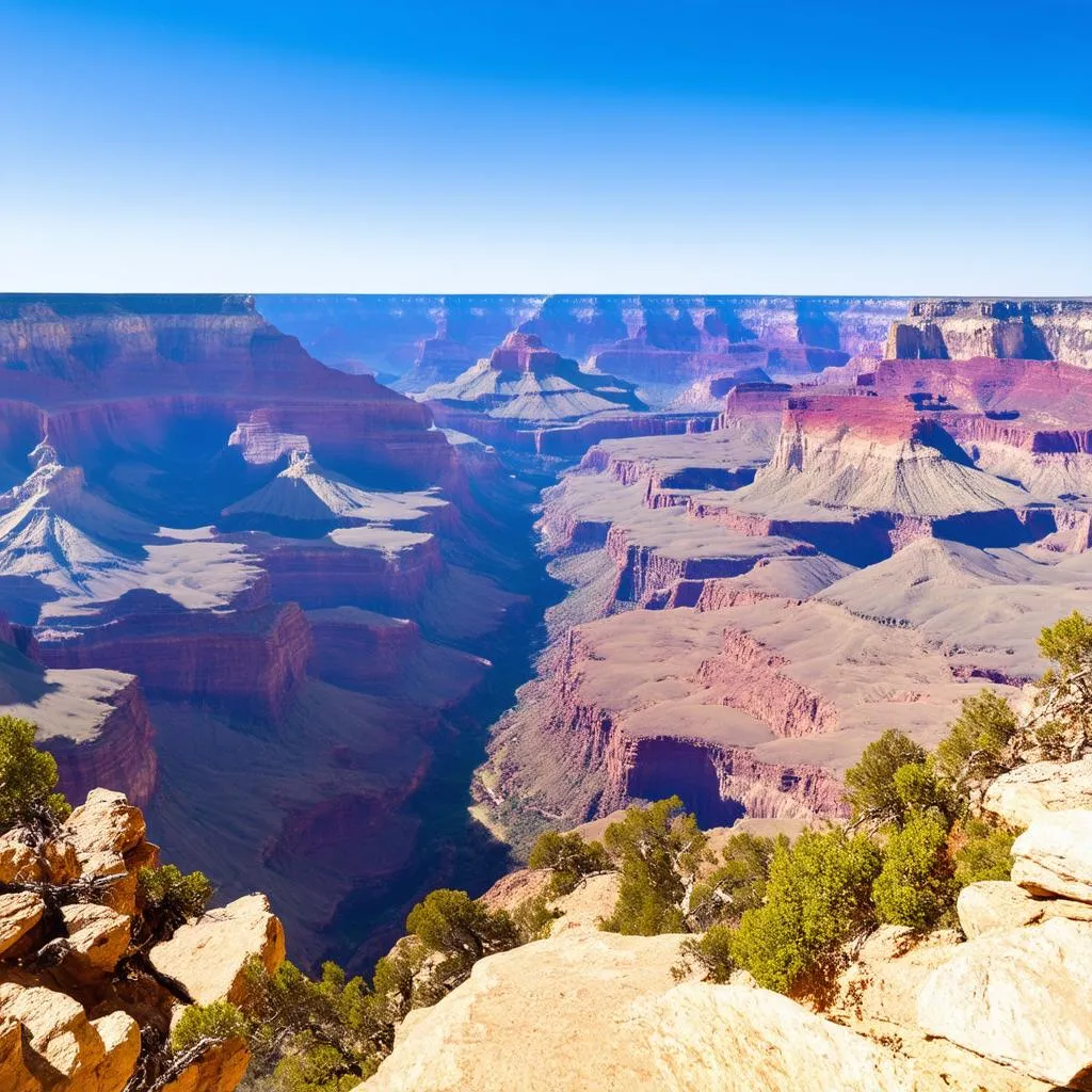 Grand Canyon View