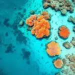 Great Barrier Reef