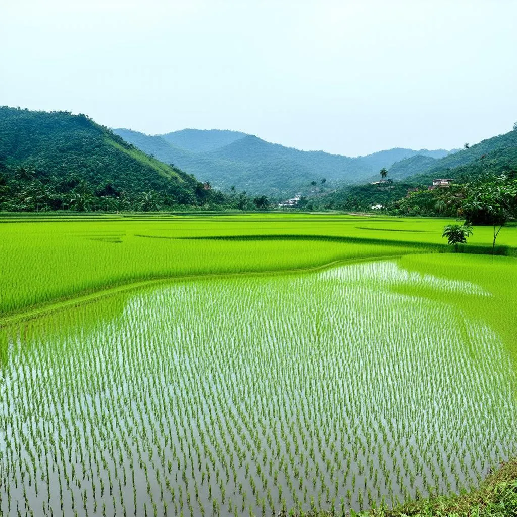 Guangdong Landscape