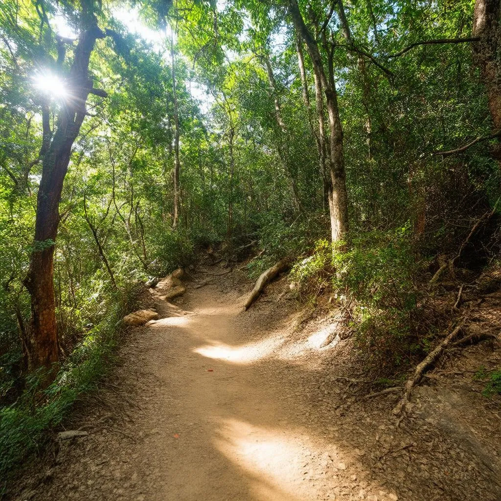 Hiking in Suoi Chi