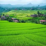 Indochina Travel