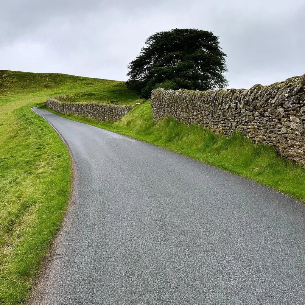 winding country road in Ireland