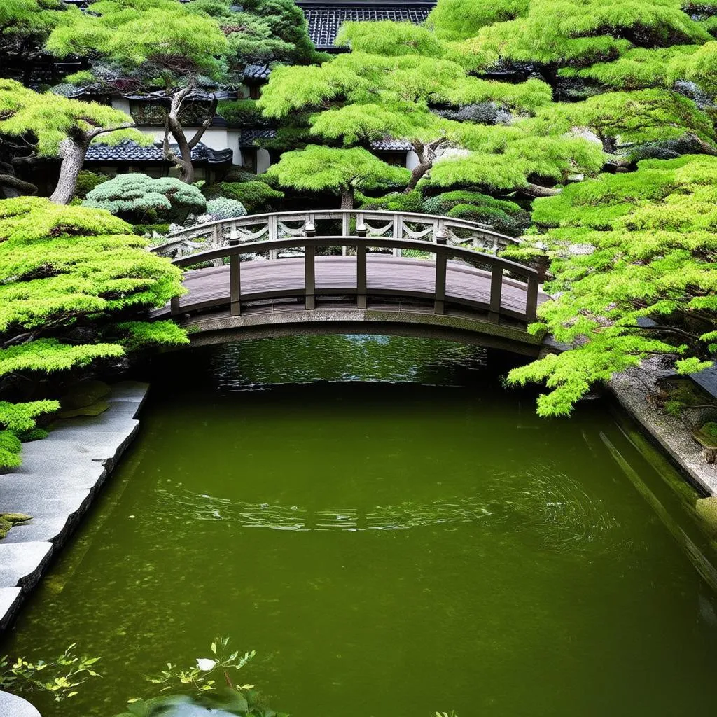 tranquil-japanese-garden