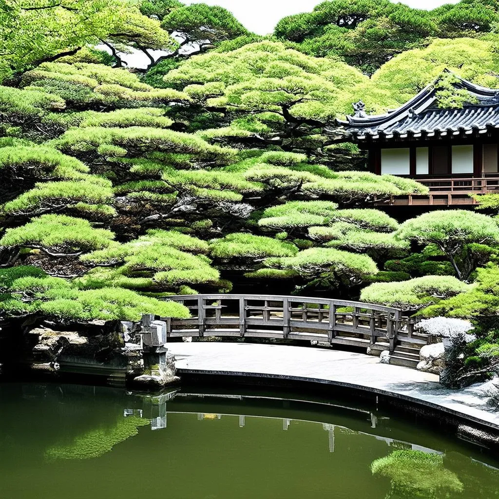 Tranquil Japanese Garden