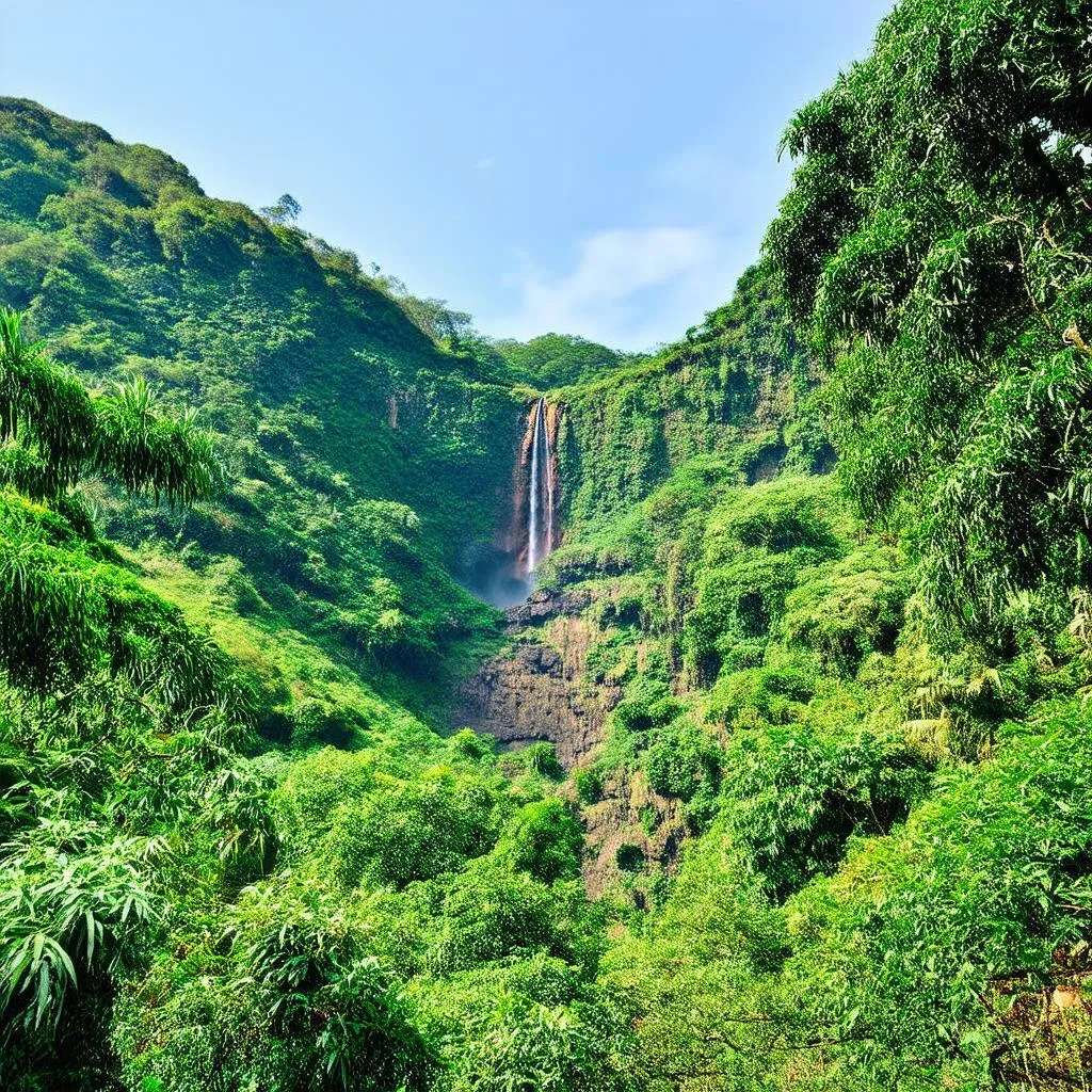 Khao Yai National Park