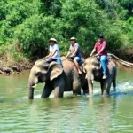 Elephant ride on Lak Lake