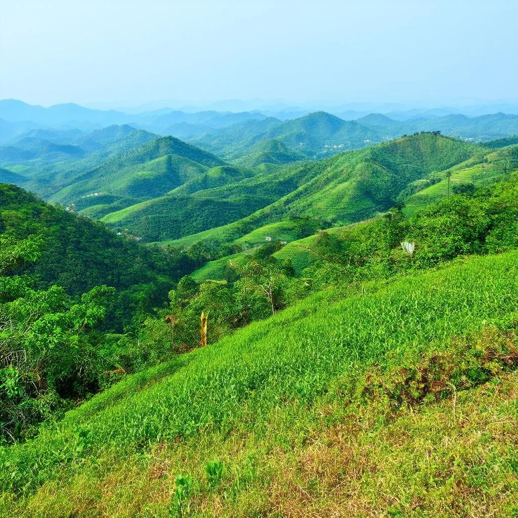 langbiang mountain view