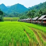 Mai Chau Valley