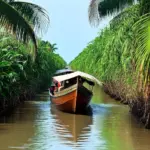 Mekong Delta boat trip