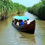 Mekong Delta Boat Trip