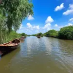 A scenic view of the Mekong River in Ben Tre