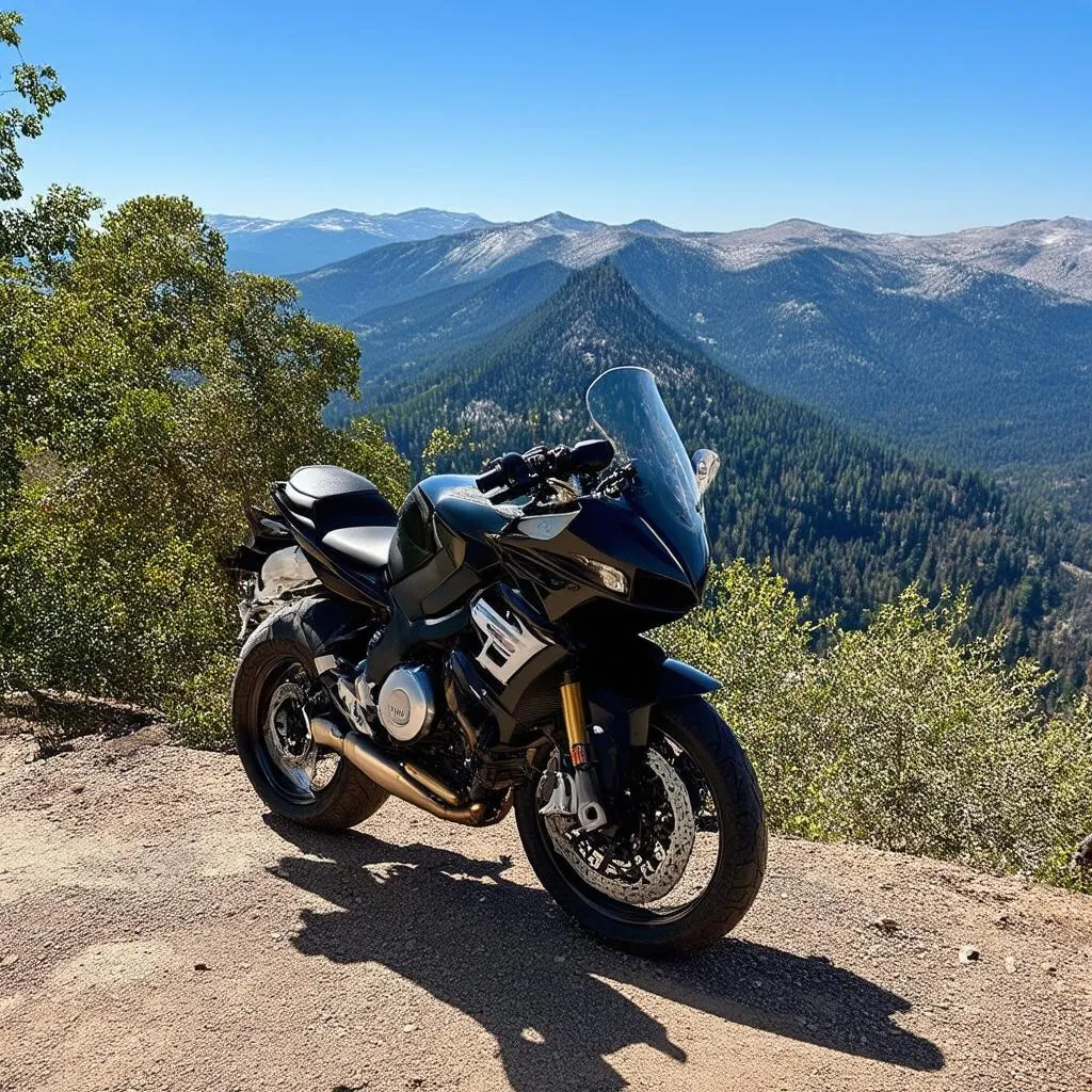 Motorcyclist Stopping for a Mountain View