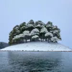 winter in Nami Island