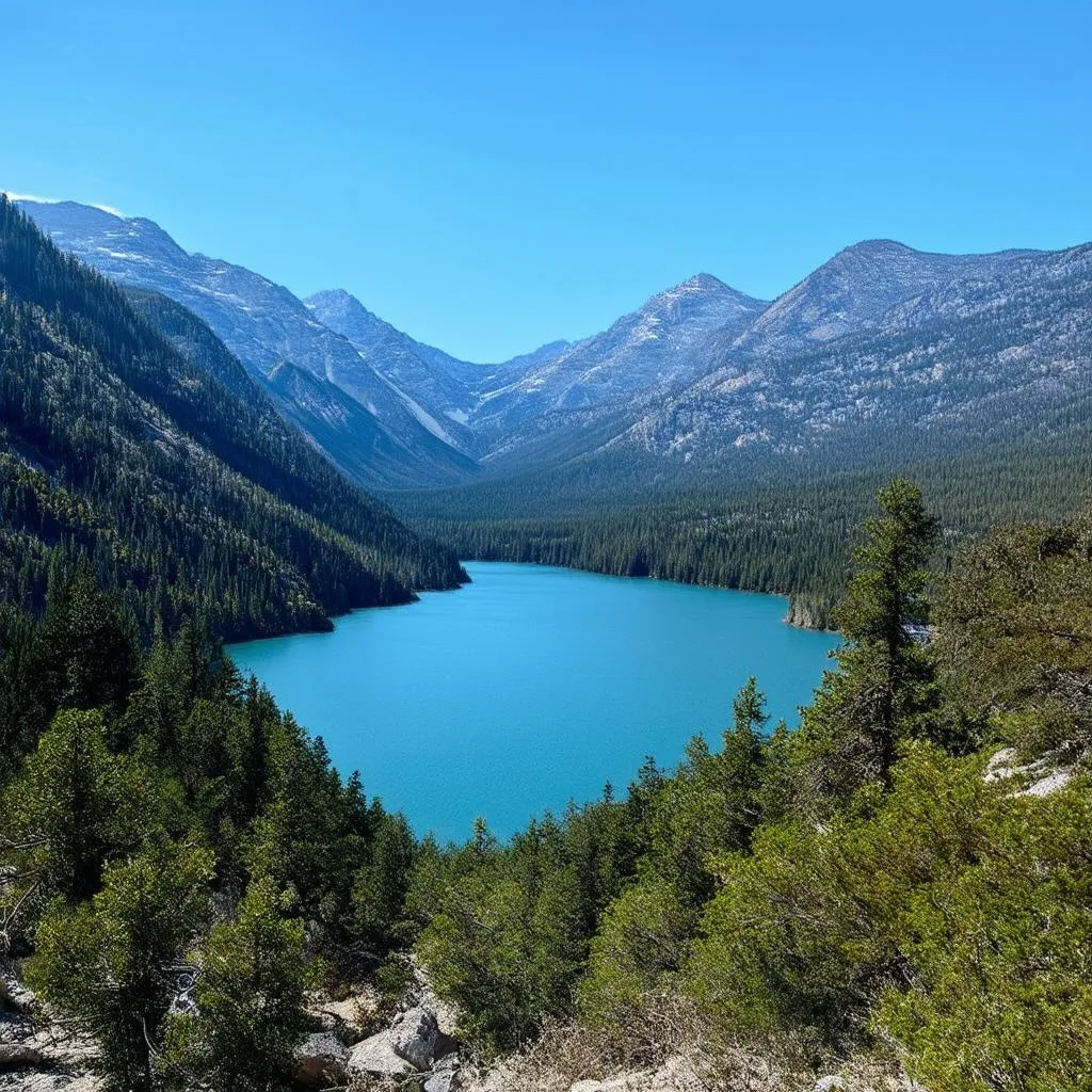 Tranquil national park