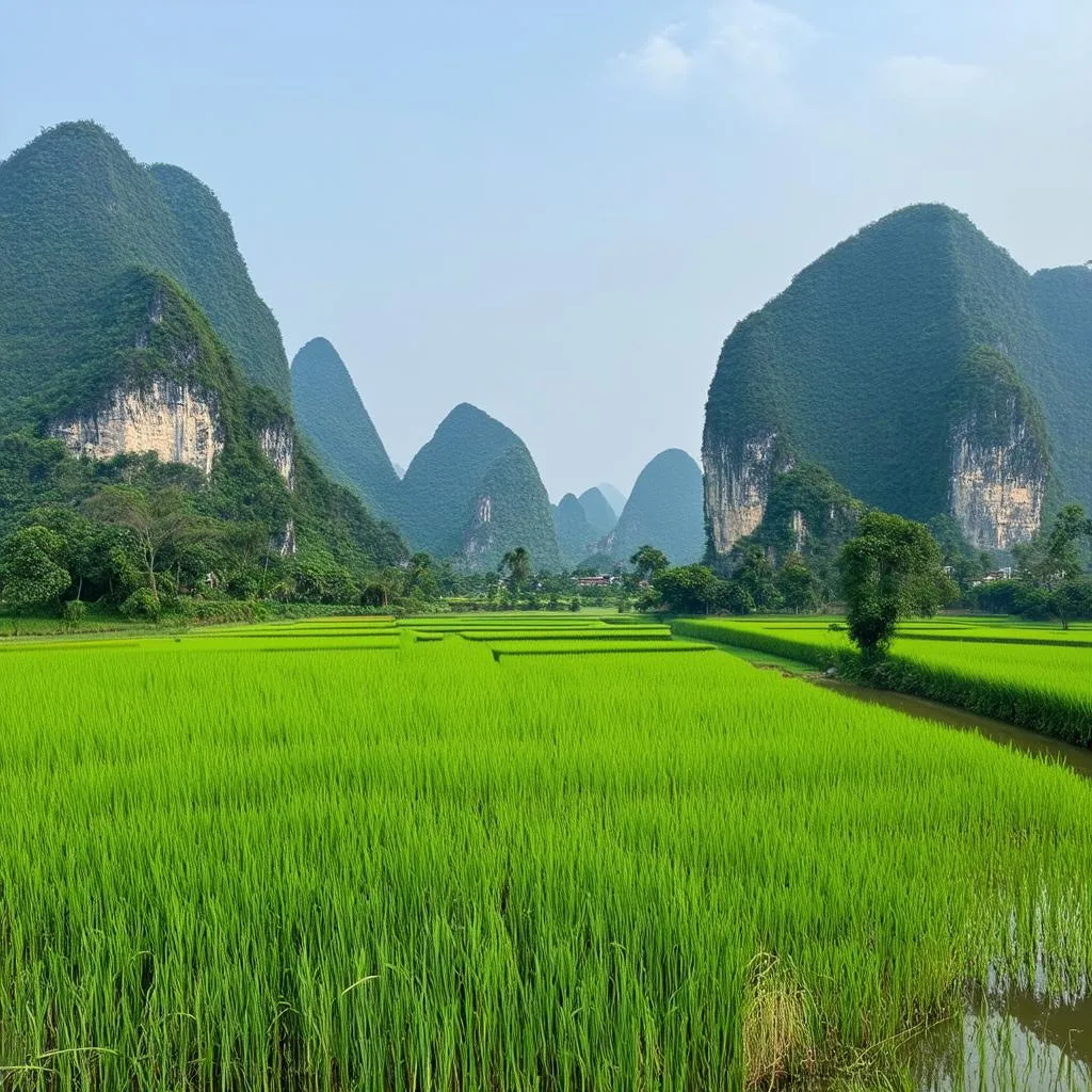 Scenic limestone formations in Ninh Binh