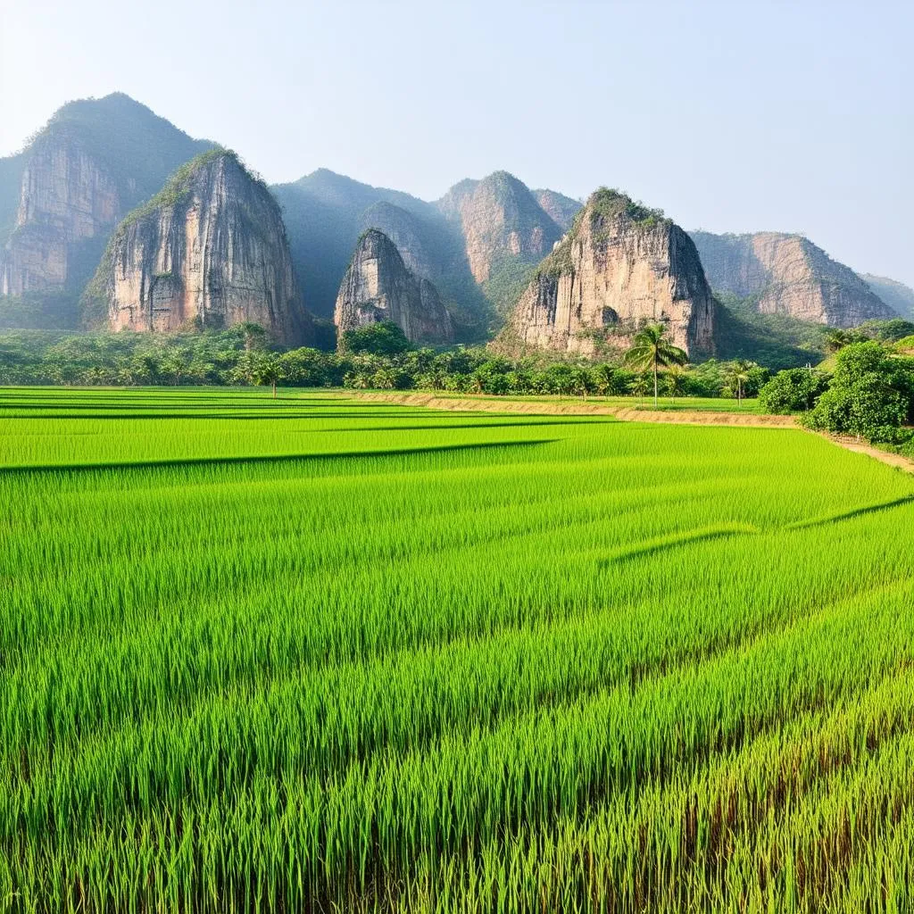 Ninh Binh Limestone Mountains