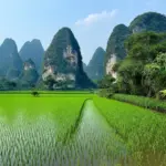 Ninh Binh Landscape