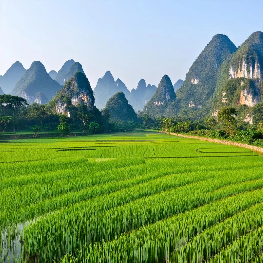 Ninh Binh Limestone Mountains