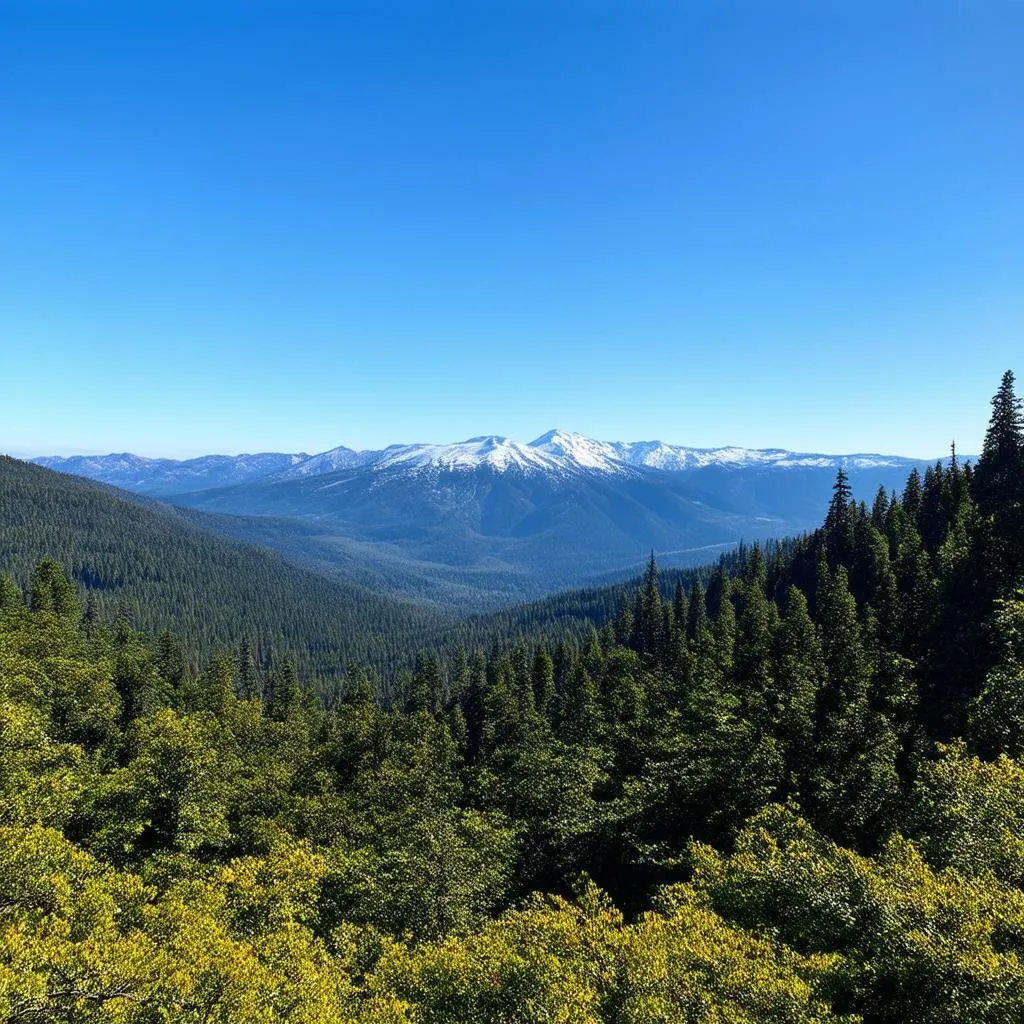 Olympic National Park