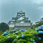 Osaka Castle in June