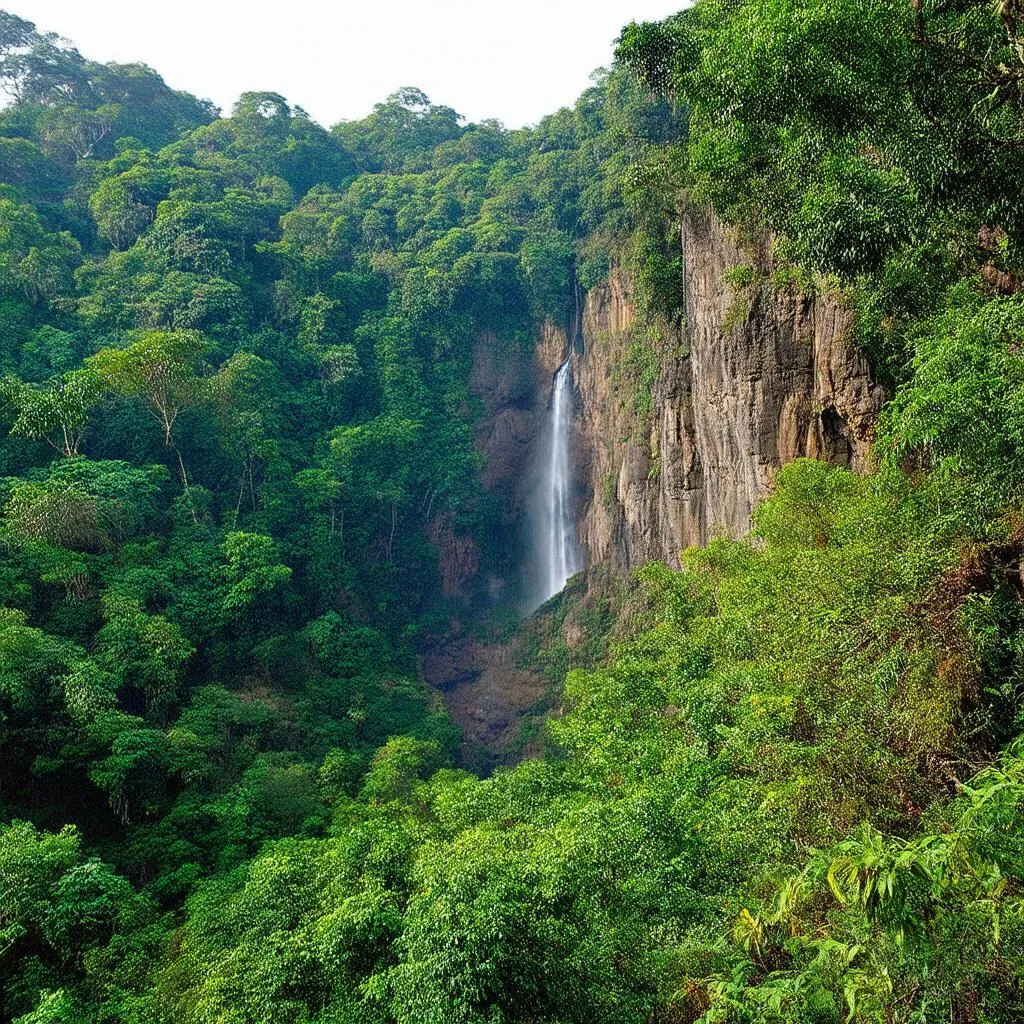 Pu Mat National Park