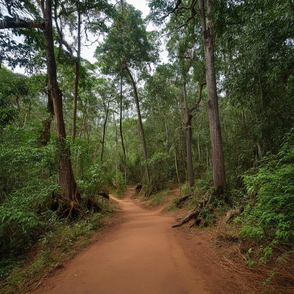 Pu Mat National Park