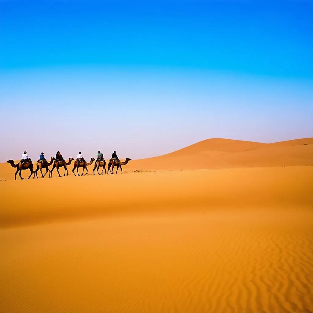 Camel Trek in the Sahara Desert