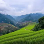 Sapa scenery