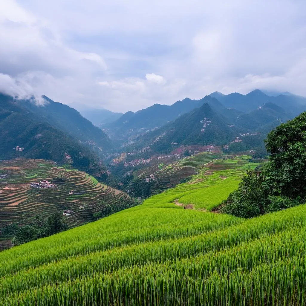 Sapa scenery