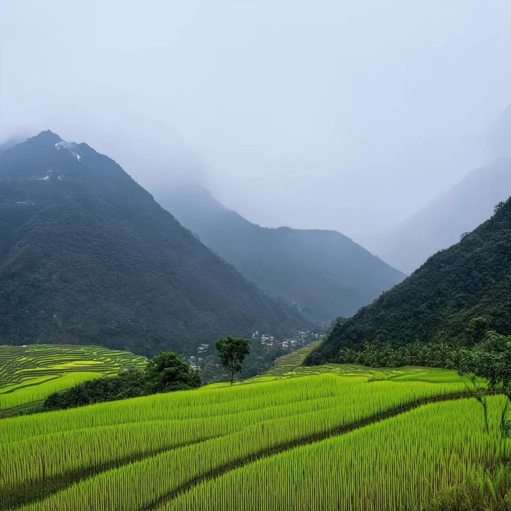 Sapa Mountains in Vietnam