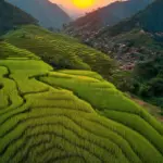 Sapa Rice Terraces