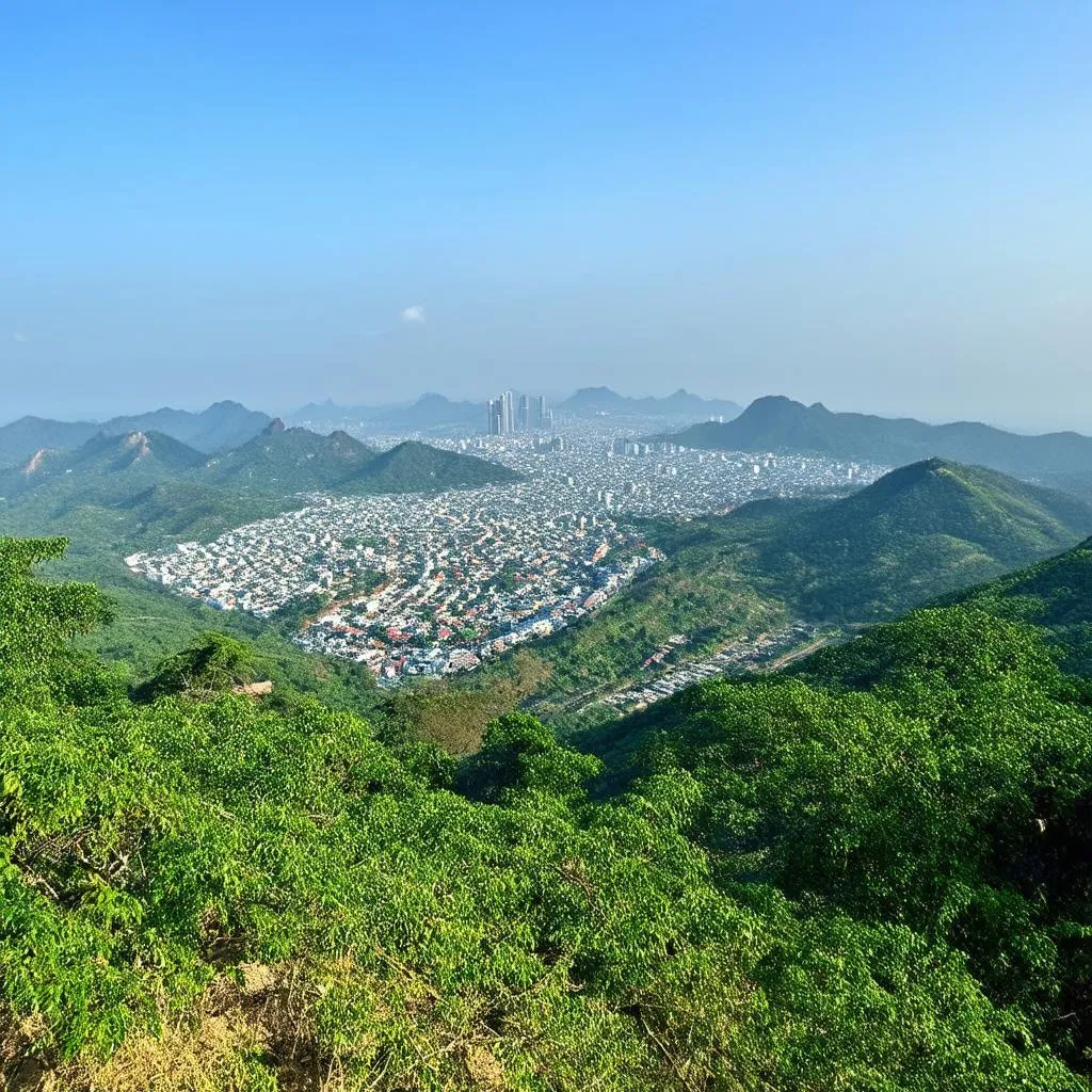 Tam Dao Peak View