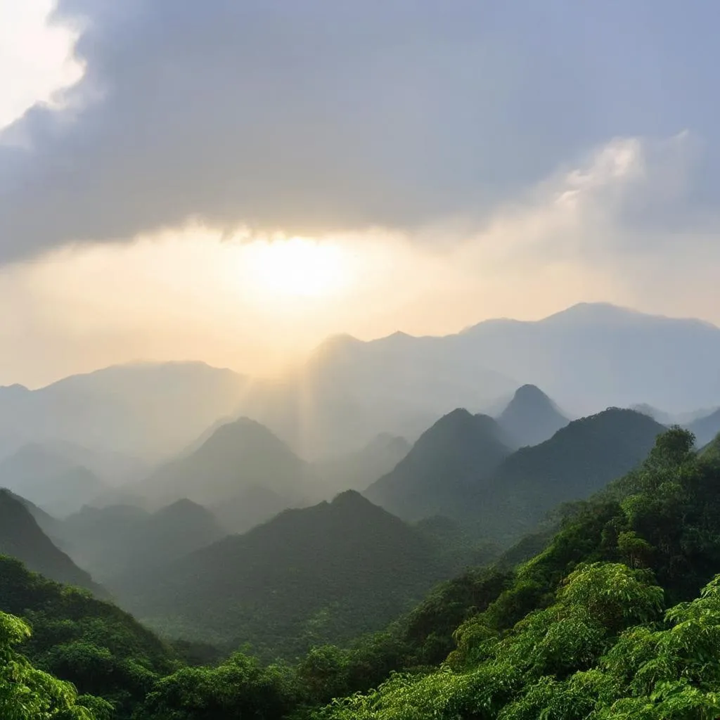 Tam Dao Mountain View