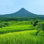 Tay Ninh Landscape