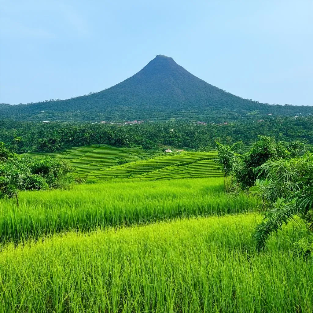 Tay Ninh Landscape