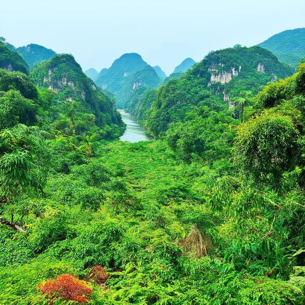 Thung Nham Bird Garden Viewpoint