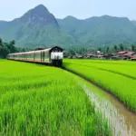 Scenic Train Journey through Vietnam