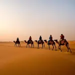 camel caravan in sahara desert