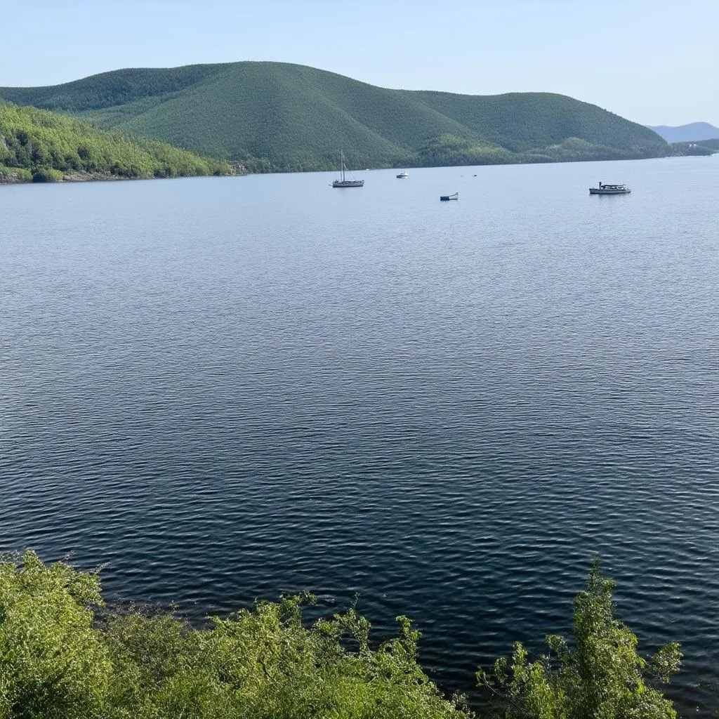 lake in dong nai