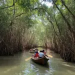 Boat Trip in U Minh Ha National Park